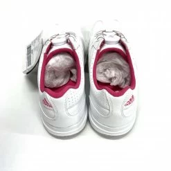 Ladies Adidas Response Boa Golf Shoes – UK Size 5.5 – US 7 – EU 38 11 Ladies Adidas Response Boa Golf Shoes – UK Size 5.5 – US 7 – EU 38 -Golf Essentials Shop 7F4A5DB7 01DD 4284 B113 672B717A2D94