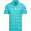 Dunning Golf Livingston Jersey Polo Shirt – Small 40-42″ Chest – Allure -Golf Essentials Shop D7S21K460 ALLURE 1